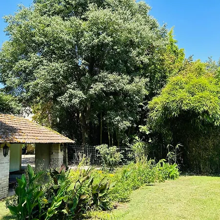 Les Et La De Labahou 4* Anduze