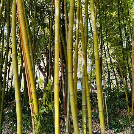 Les Et La De Labahou Anduze